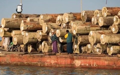 美国式双标：一边制裁一边进口缅甸柚木