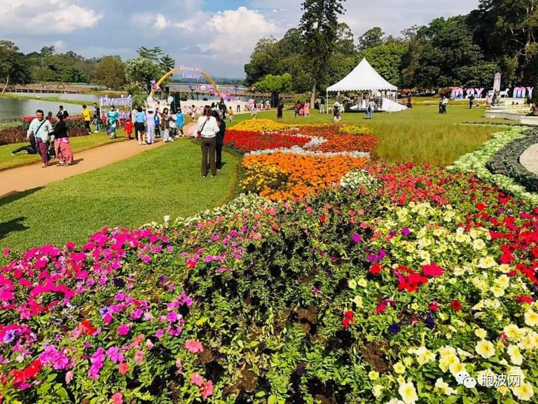 人山人海：彬乌伦国家植物园举行第15届花卉节