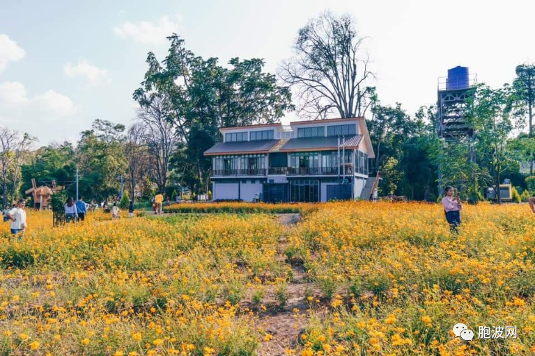 照片新闻：花城彬乌伦的BE FALL旅游亮点