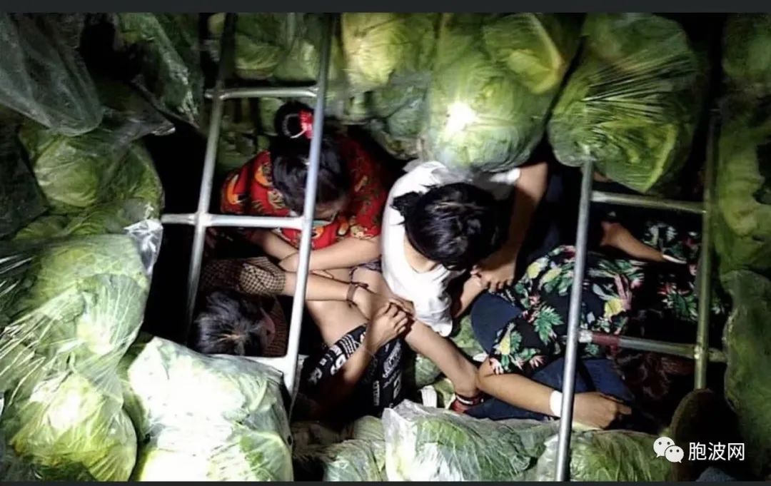 3天之内泰警方抓捕100多名缅甸偷渡者