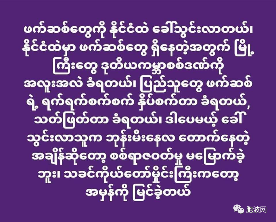 今年的昂山将军的诞辰日，社媒声音有反常