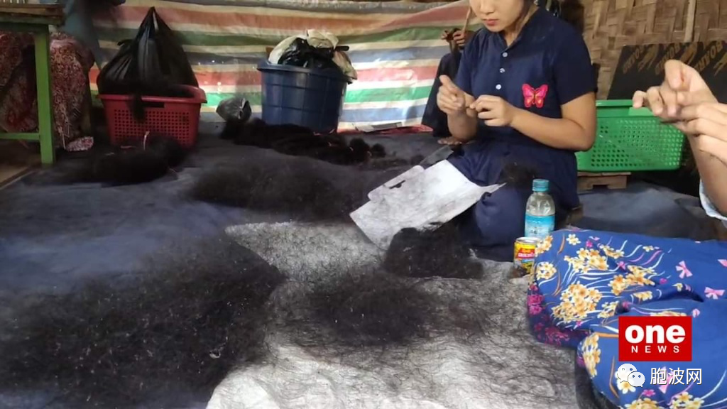 缅甸的头发也能出口？