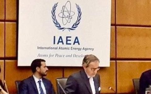 缅甸大使参加国际原子能机构IAEA会议