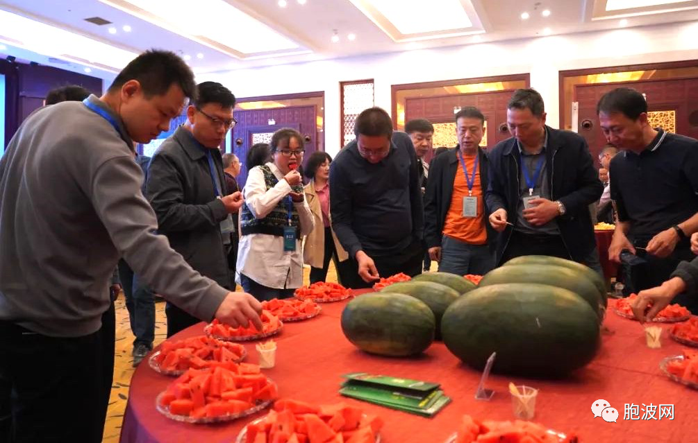 2023中缅西瓜、香瓜产业发展大会在中缅边境瑞丽市举行