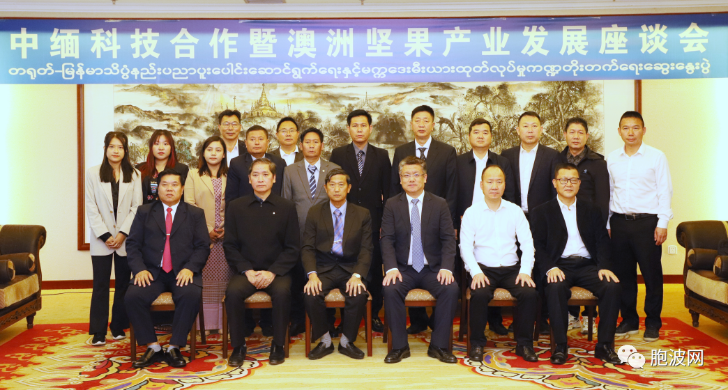 中缅科技合作暨澳洲坚果产业发展座谈会在云南德宏举行