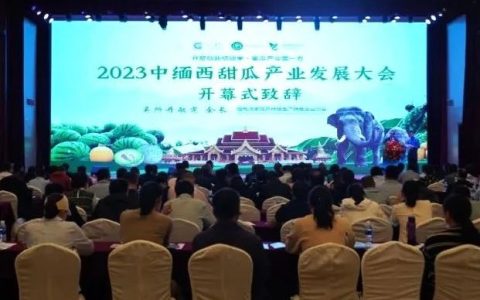 2023中缅西瓜、香瓜产业发展大会在中缅边境瑞丽市举行