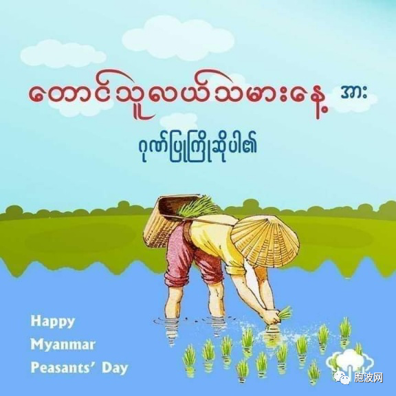 缅甸历史上的今天：农民节与首次军事政变日