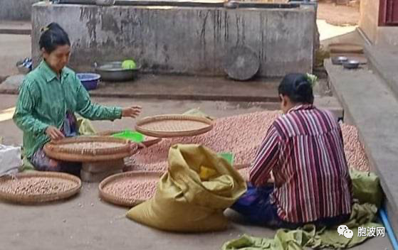 中国市场需求减少，缅甸农产品生意不乐观！