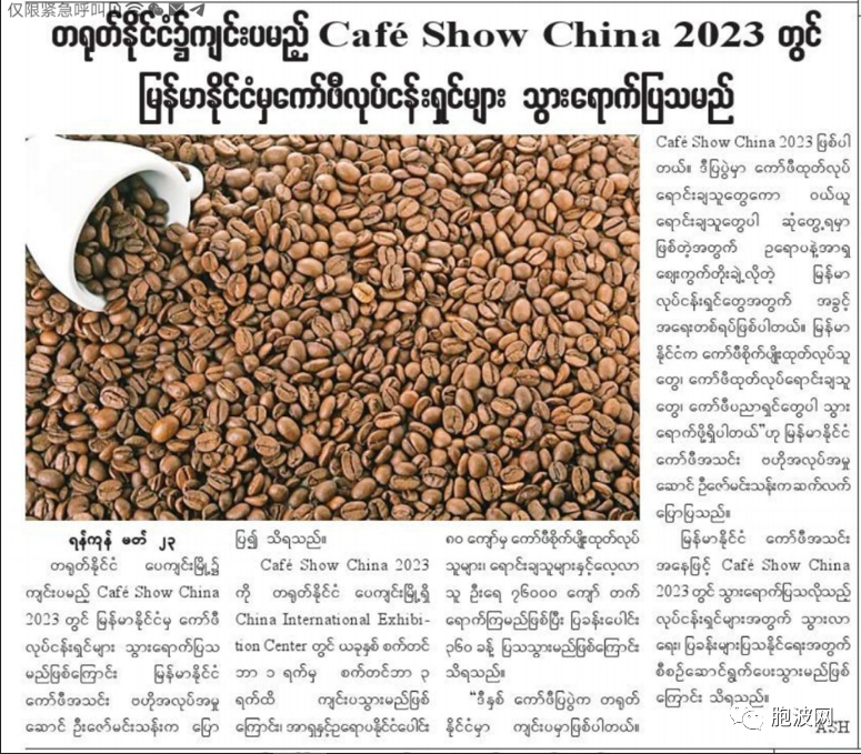 缅甸咖啡将在中国举办的“CAFÉ SHOW CHINA 2023”咖啡展上闪亮登场！