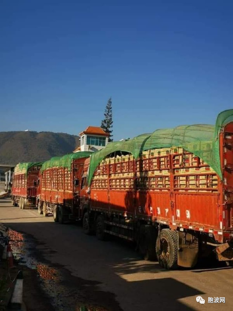 中缅边贸物流畅通，收入比去年多5亿美元