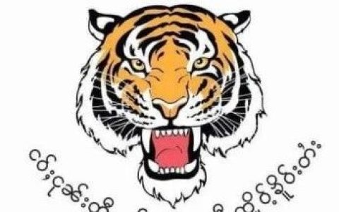 掸族民盟党SNLD正式宣布不再申请注册