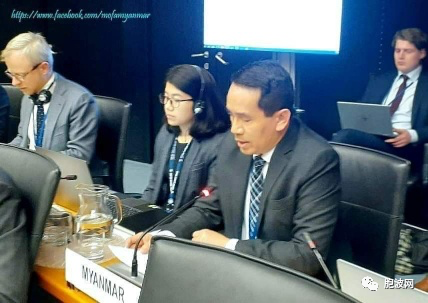 缅甸大使参加国际原子能机构IAEA会议