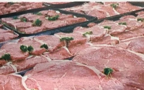 中国将通过边境口岸进口缅甸冷冻肉类产品