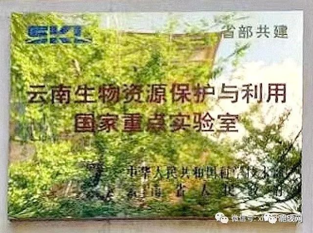 云南大学：从“211”、“特色”、“冠军”到振兴