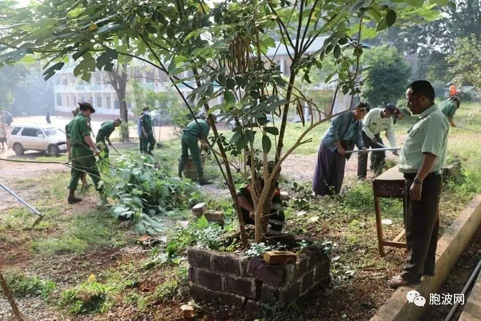 照片新闻：缅甸中小学校准备开学