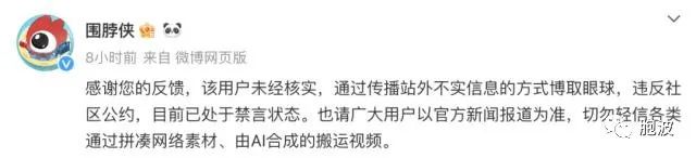 缅甸邮轮上有器官移植手术室？别轻信AI合成视频……