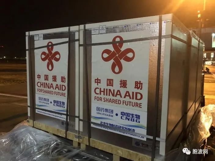 深厚胞波情：中国援助缅甸的300万剂疫苗再次抵达仰光