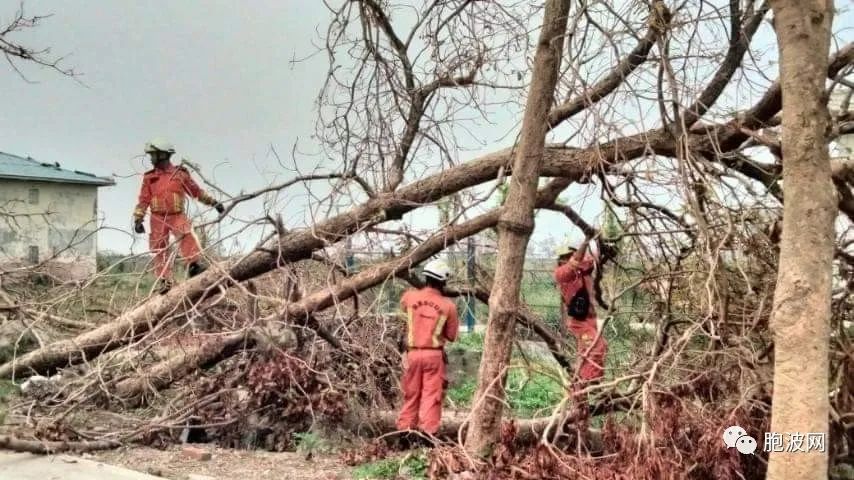 照片新闻：灾区重建正紧锣密鼓地进行！消防员纷纷奔赴第一线！