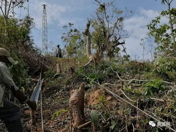 照片新闻：若开邦电力供应设备修复工作正在紧锣密鼓地进行