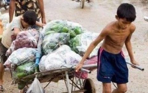 国际劳工组织ILO警告：缅甸童工问题严重！