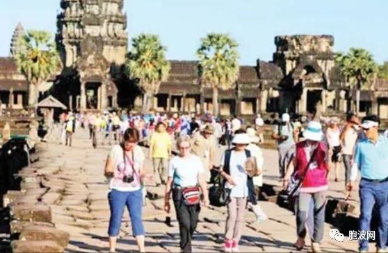 伤害式比较：缅柬两国入境国际游客数据对比