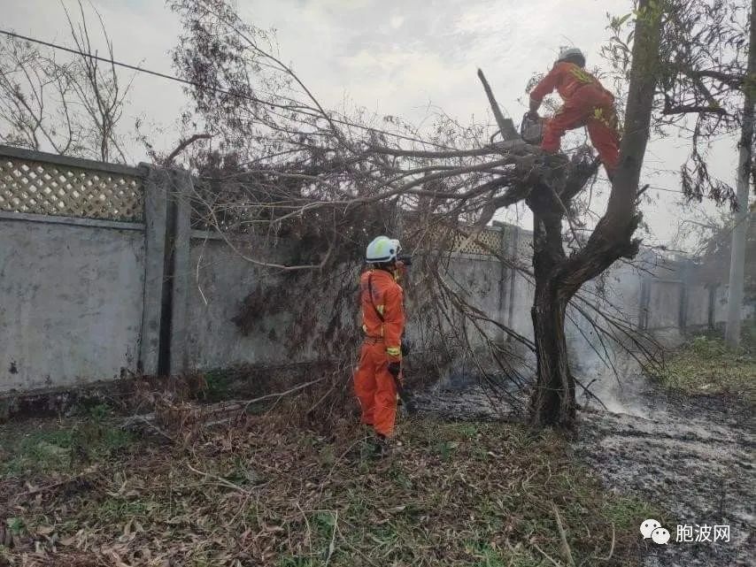 照片新闻：灾区重建正紧锣密鼓地进行！消防员纷纷奔赴第一线！