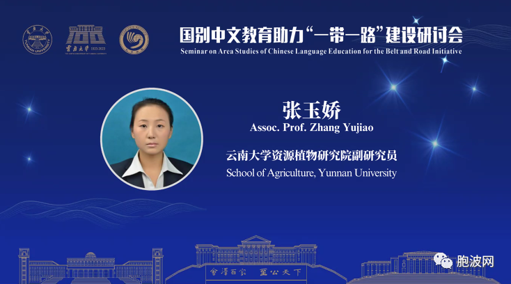 云南大学主办的“国别中文教育助力‘一带一路’建设研讨会”在线上线下同时举行