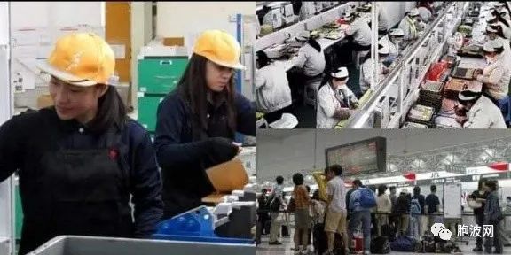 日本企业将再度聘用缅甸劳工1000余人