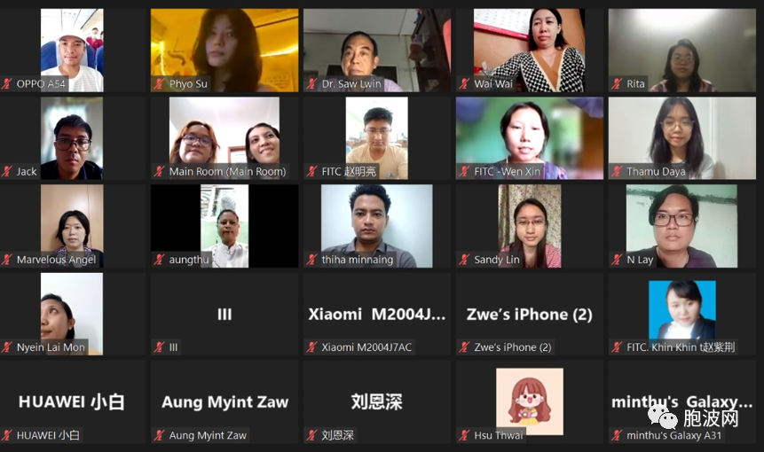 中缅网络文学交流研讨会在线上举行