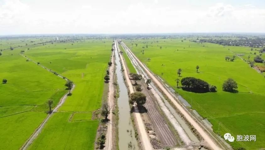 实皆省以德潘瑟水库灌溉的夏稻农田面积的45%已完成种稻任务