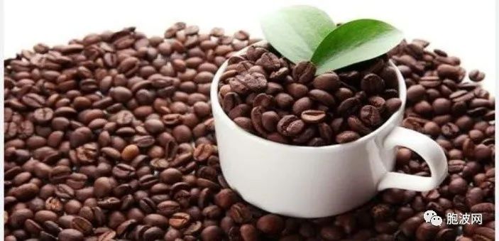 缅甸咖啡出口，泰国市场占75%！