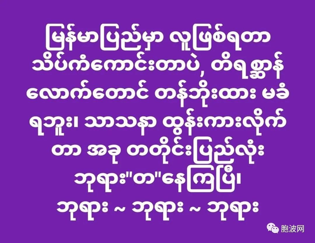 亲军人士语录矛指缅军政高层