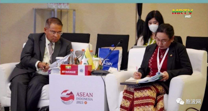 2025年后东盟共同体愿景高级别工作组第八届会议缅甸代表参会