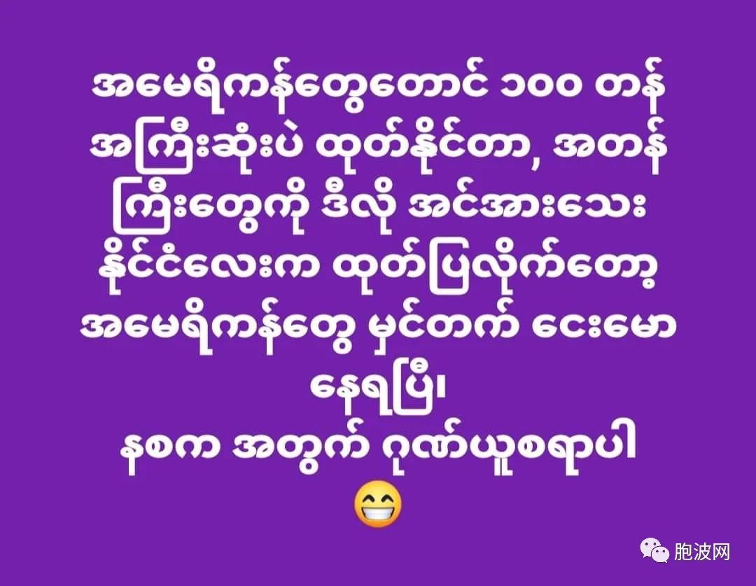 亲军人士语录矛指缅军政高层