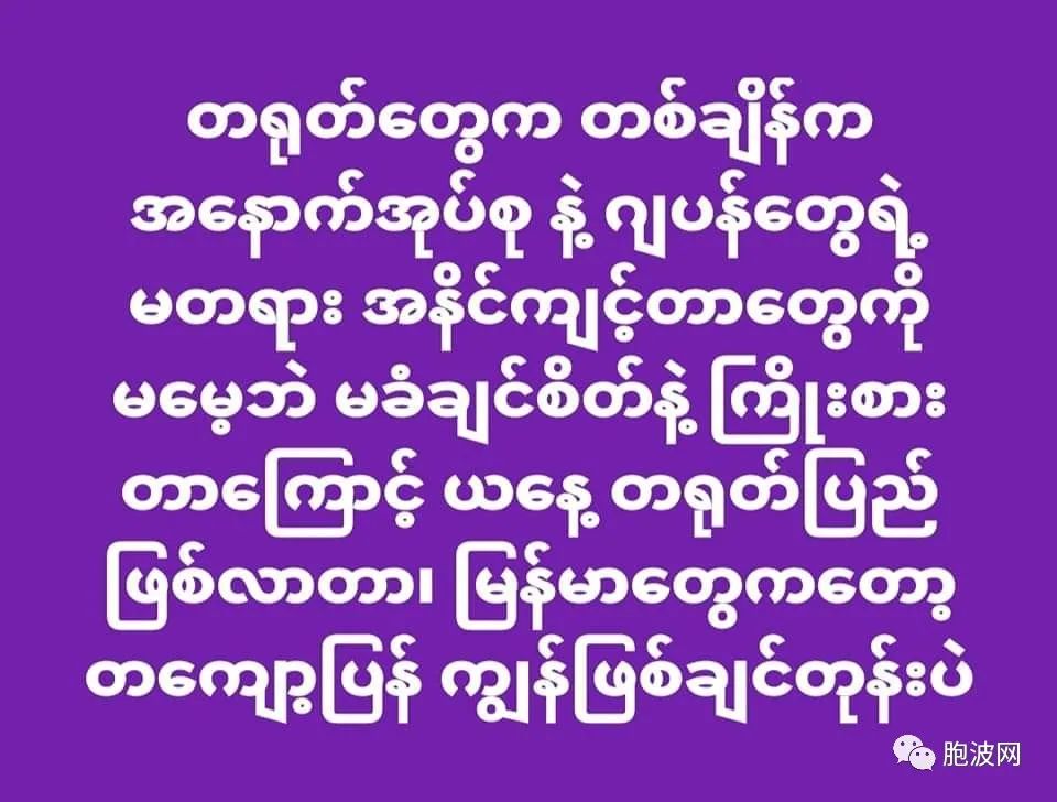 恨铁不成钢：揭露缅甸真相的语录