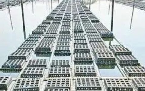 仰光胶丹镇区饲养区的软壳蟹每月向中国台北出口70吨
