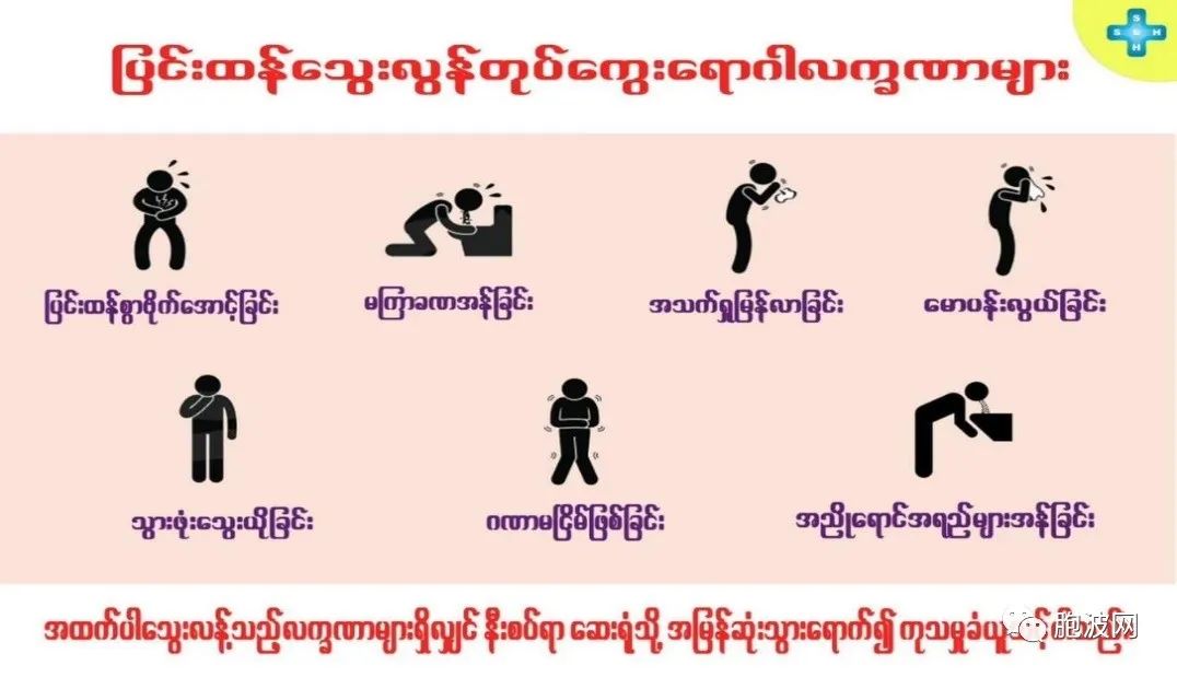 注意：缅甸登革热爆发季到来，缅甸已现死亡病例