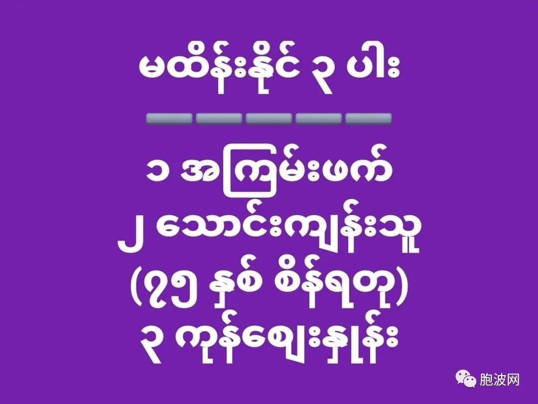 亲军人士的经典语录：缅甸敢于驱逐美英法使节才算有种