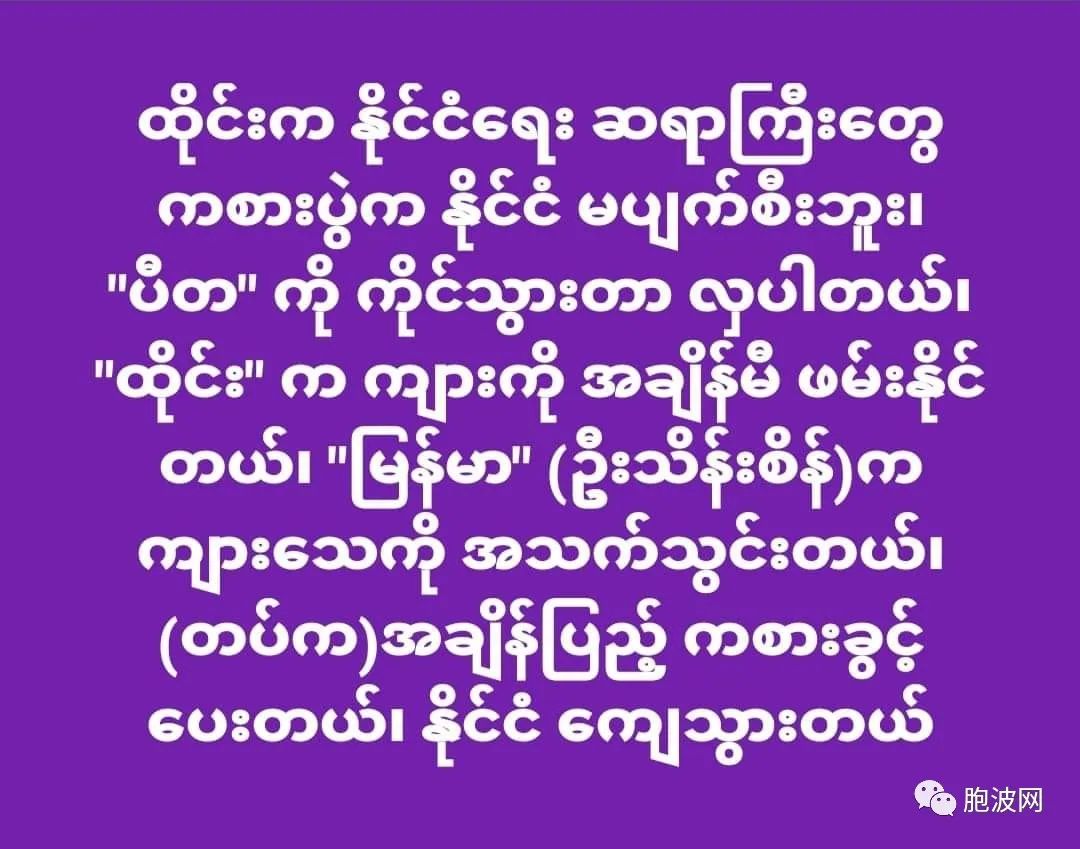 亲军人士的经典语录：缅甸敢于驱逐美英法使节才算有种