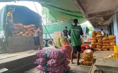 因产量不足缅甸还得从中国进口土豆