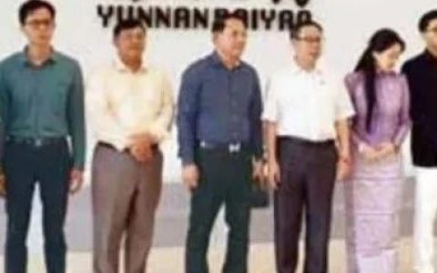 缅甸联邦部长吴茂茂翁参观云南白药制药厂与太阳能厂