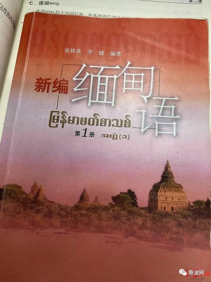 舆论漩涡下的缅甸语专业