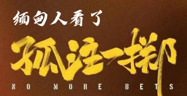 缅甸人看了《孤注一掷》：谁骗了公众？为何网暴缅甸？！