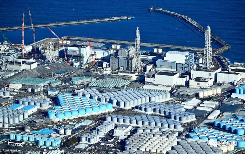 缅媒调侃：日本核污排海自家海鲜遭重创
