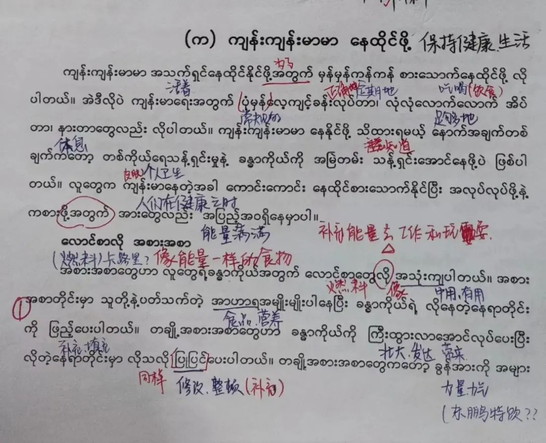 被妖魔化的缅甸语学生：我们学这个不是为了搞诈骗