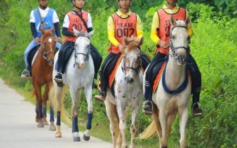 缅甸骑马运动员准备参加国际赛事