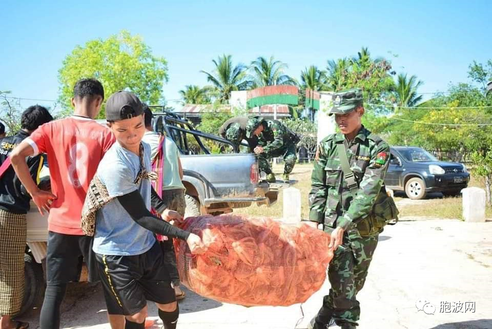 掸北战火导致产生6万余名流离失所的避战难民？