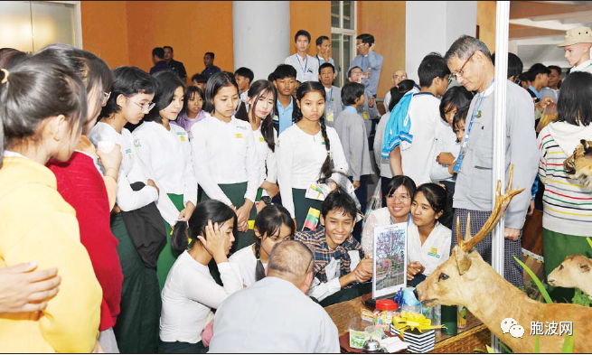 缅甸独立建国76周年庆典，在内比都特别举办青年与知识文化展