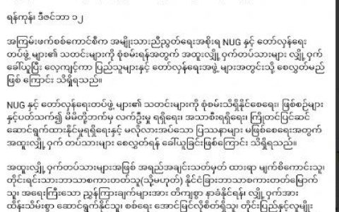 秘密文件：缅军方在秘密组织特侦兵深入侦查NUG以及革命武装的动态