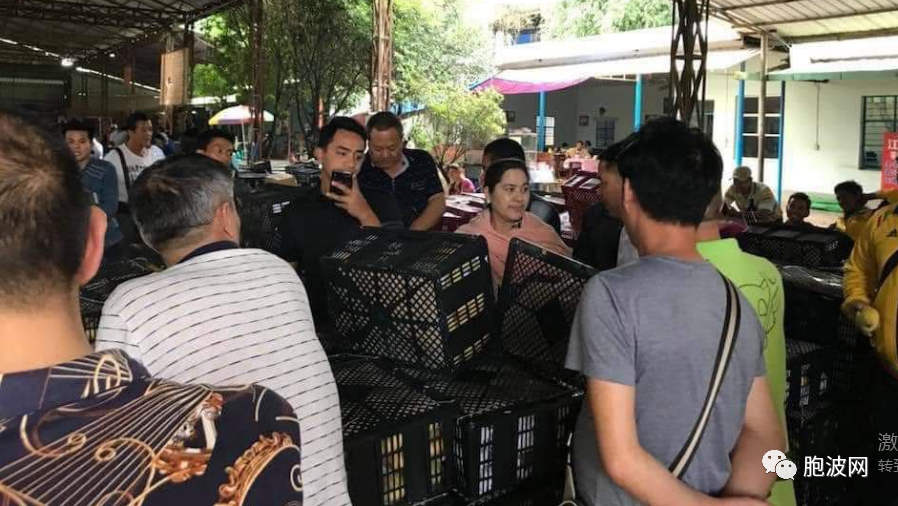 息息相关：中国暴雪影响缅甸果蔬市场